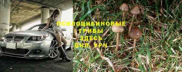 ПСИЛОЦИБИНОВЫЕ ГРИБЫ Михайловск