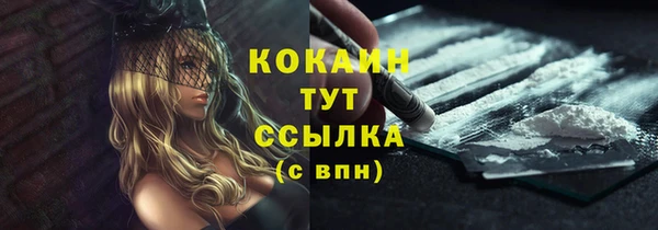 ПСИЛОЦИБИНОВЫЕ ГРИБЫ Михайловск