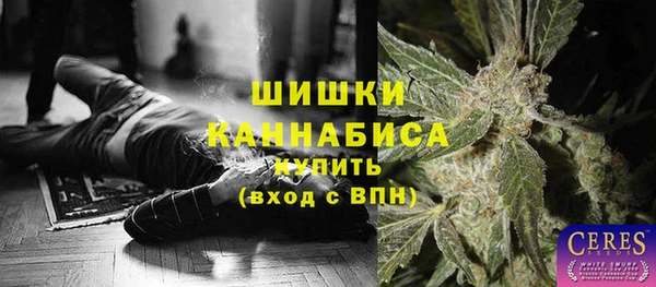 ПСИЛОЦИБИНОВЫЕ ГРИБЫ Михайловск