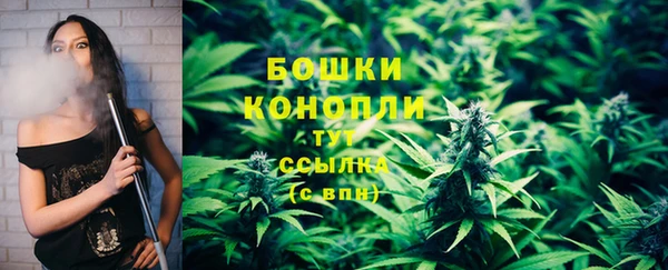 ПСИЛОЦИБИНОВЫЕ ГРИБЫ Михайловск