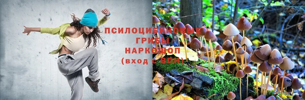 ПСИЛОЦИБИНОВЫЕ ГРИБЫ Михайловск